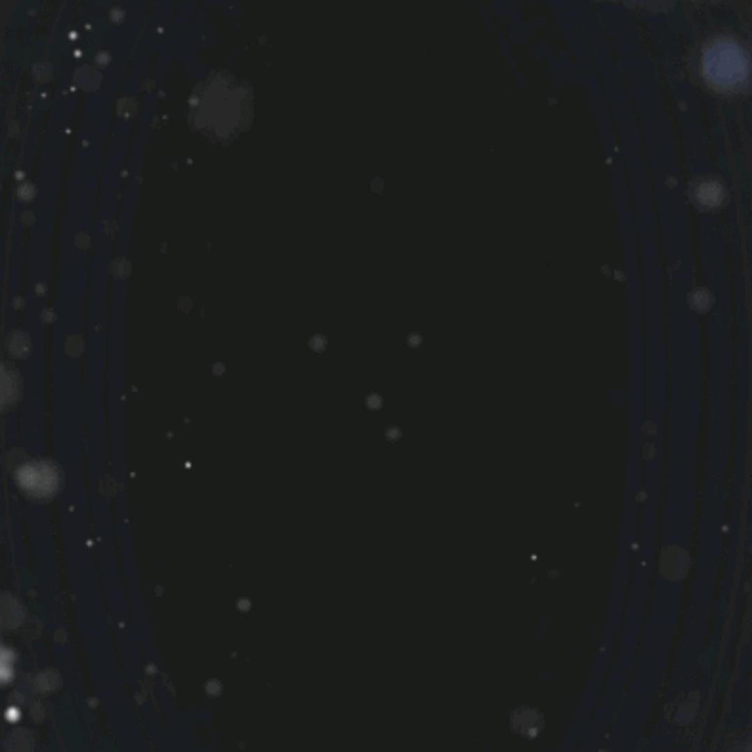 云栢.