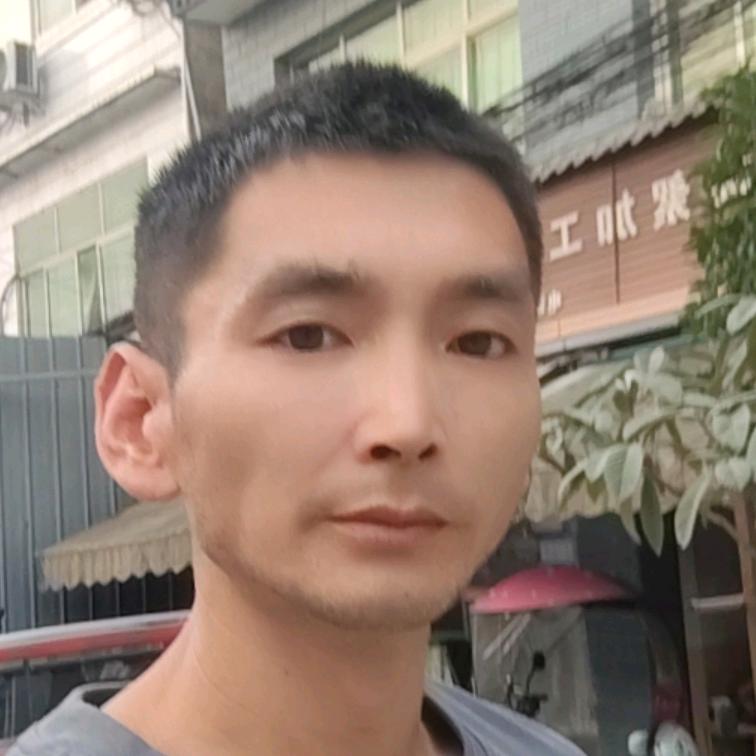 老杨