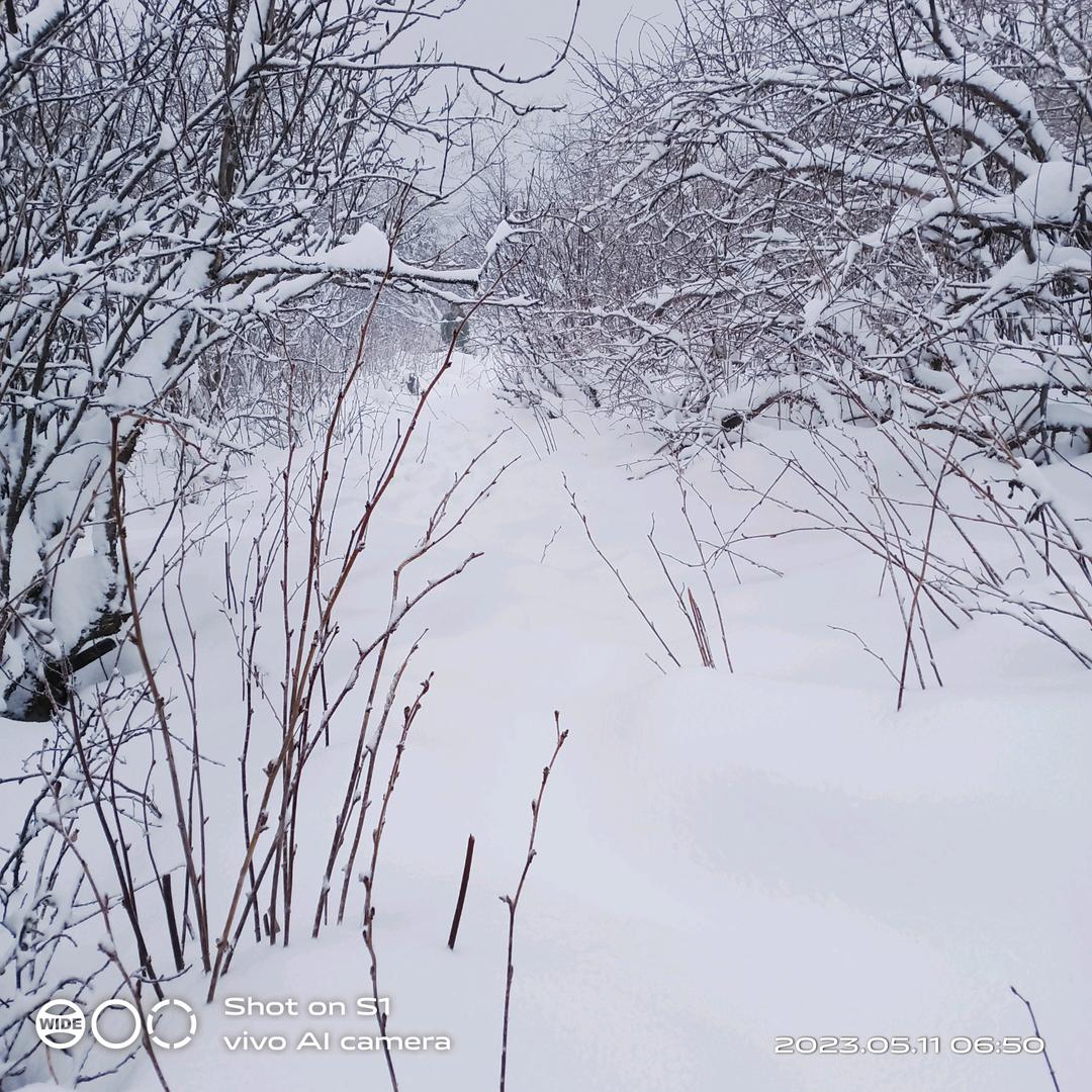 走错了路记得回头…