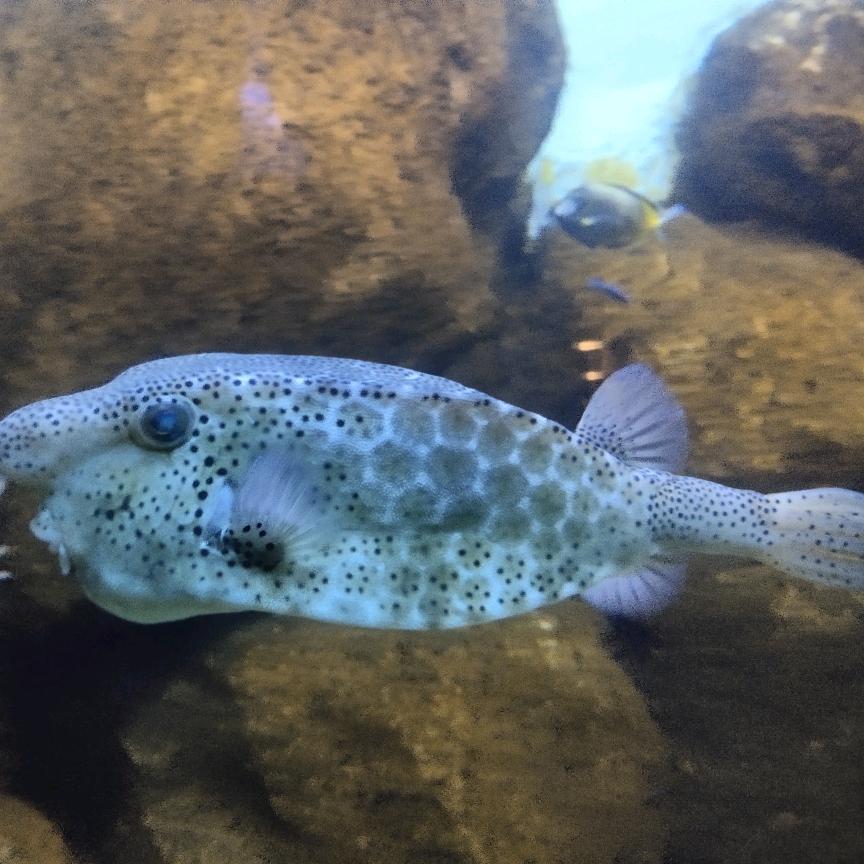 鸿途（刷业）清洁用品，