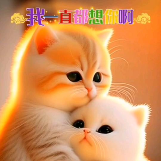 🐉🐉🐉🐉龙🐉🐉🐉🐉