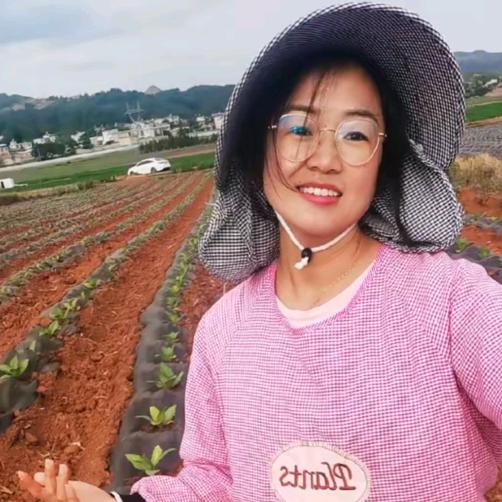 伊若