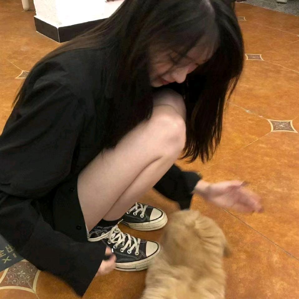 木质椿