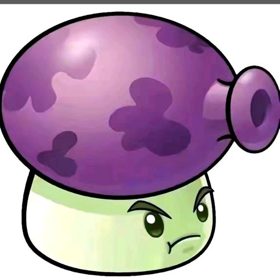 🟣🟣🟣🟣🟣🟣