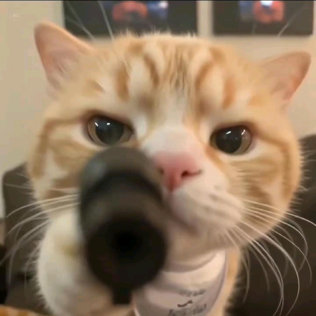 折漫曲