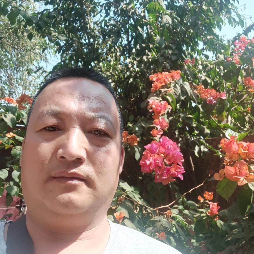 潇洒哥