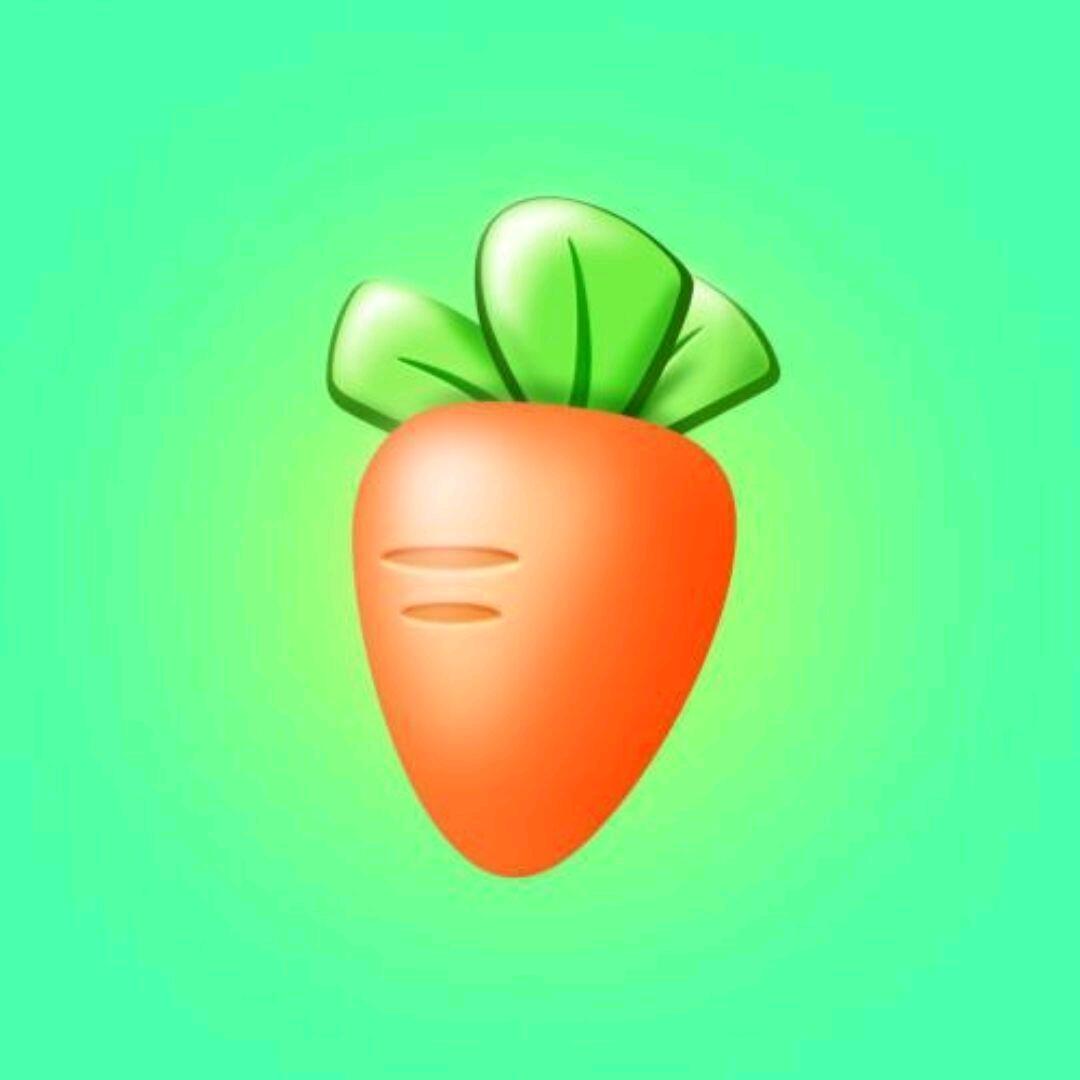 胡萝卜🥕🥕