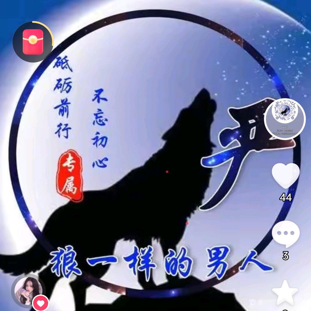 wolf