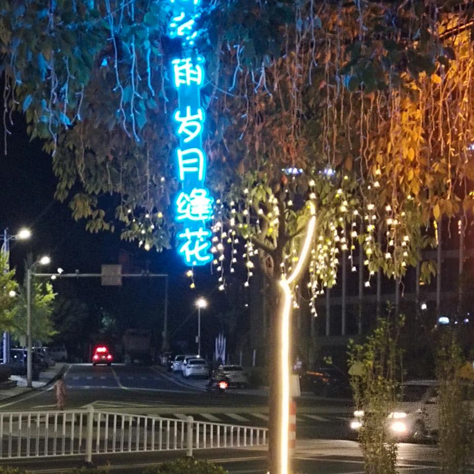 岁月缝花