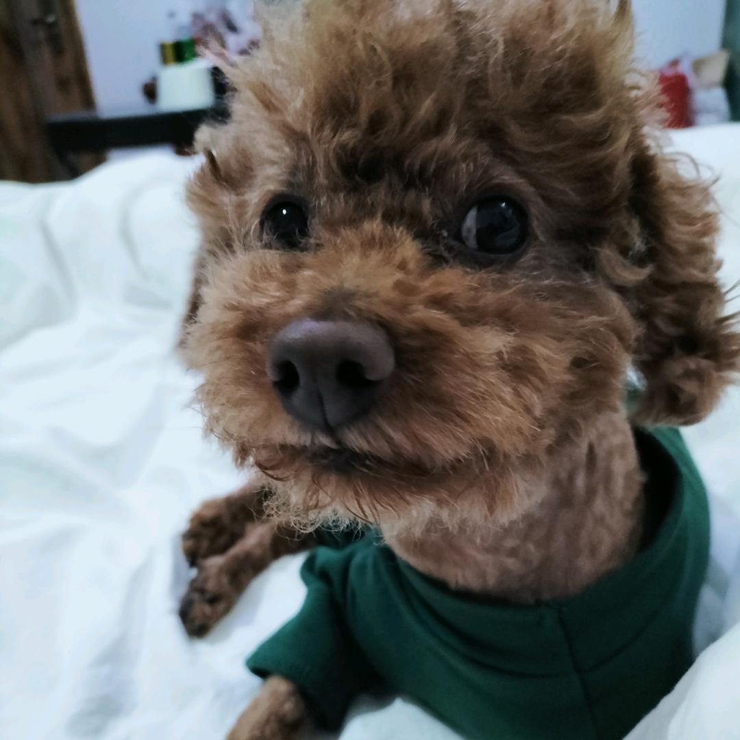 兜妈💕