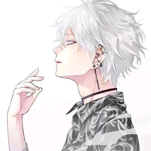 桂总