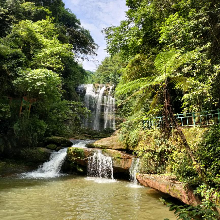 阿鸿