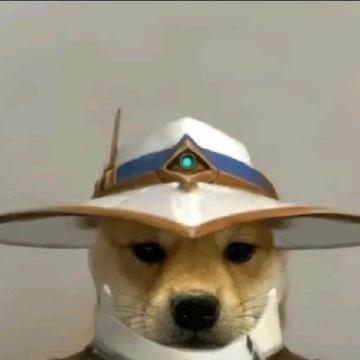 罐头