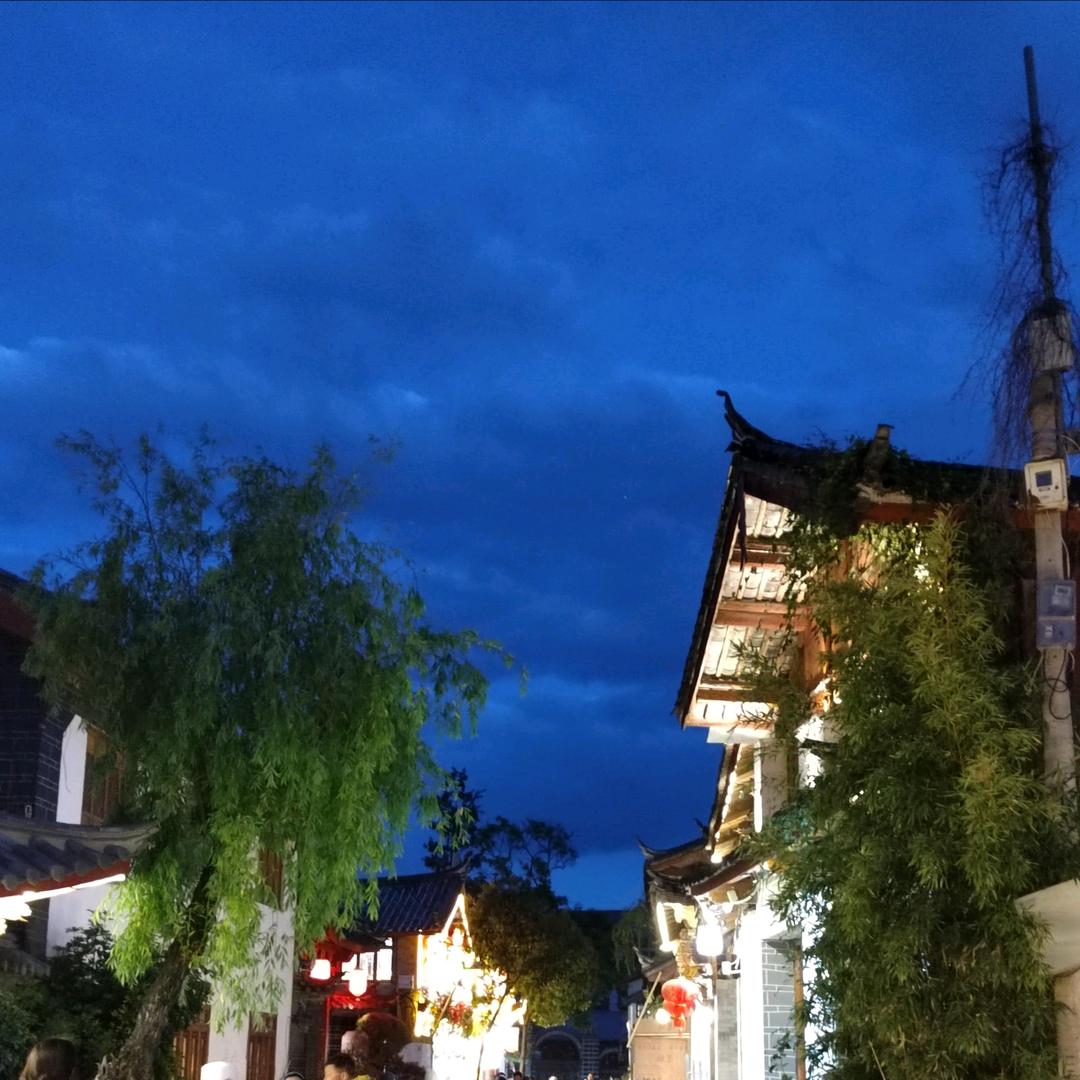 墩墩代肝(客服版)