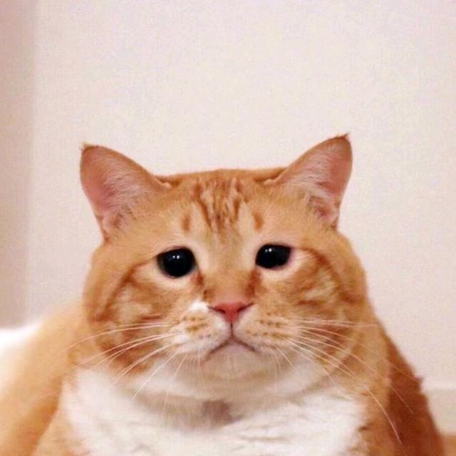 漂在江湖0.1手游