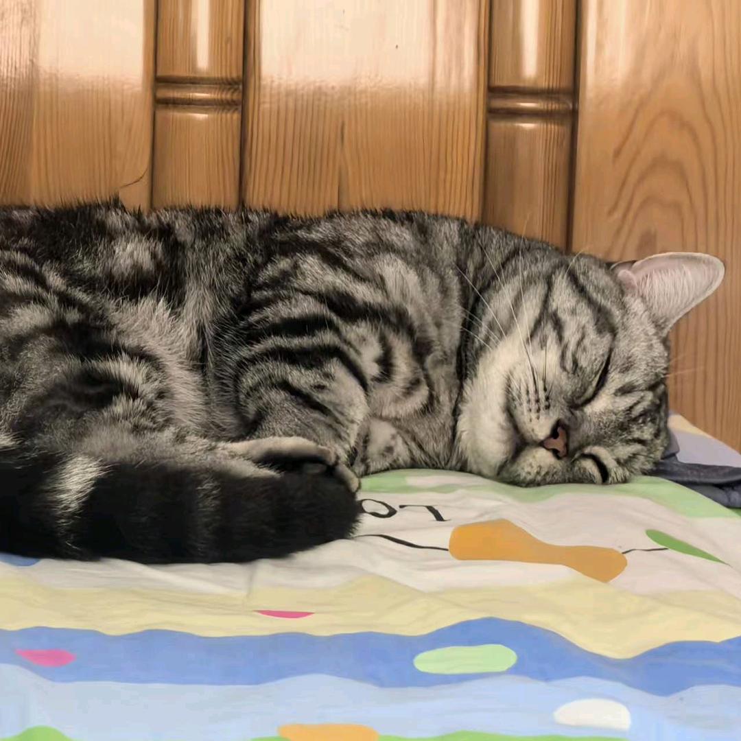 💌微风不燥💦💫