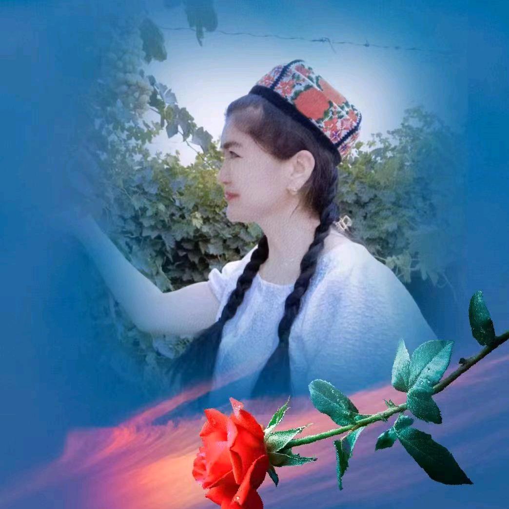 热宝宝好物推荐