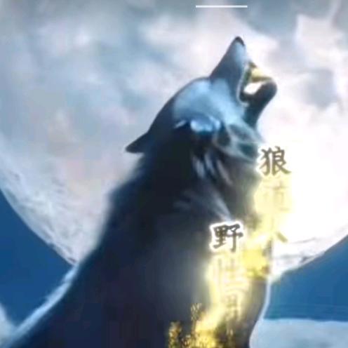 野狼