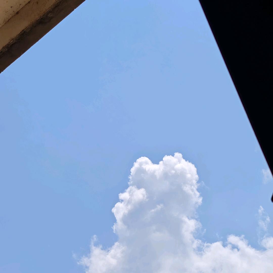 总有刁民想害朕，，，