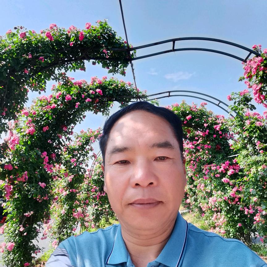 春去春会来，