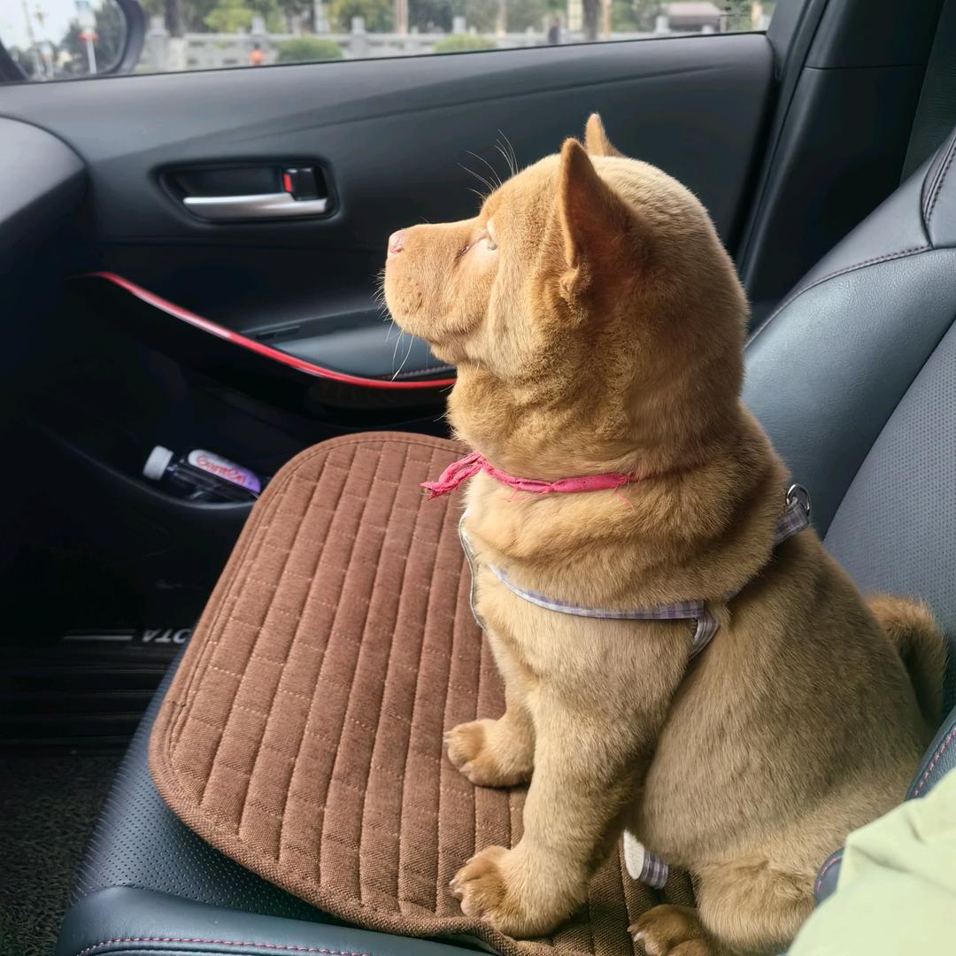 ঞ ໌້ᮨ阿呸꧔ꦿ᭄