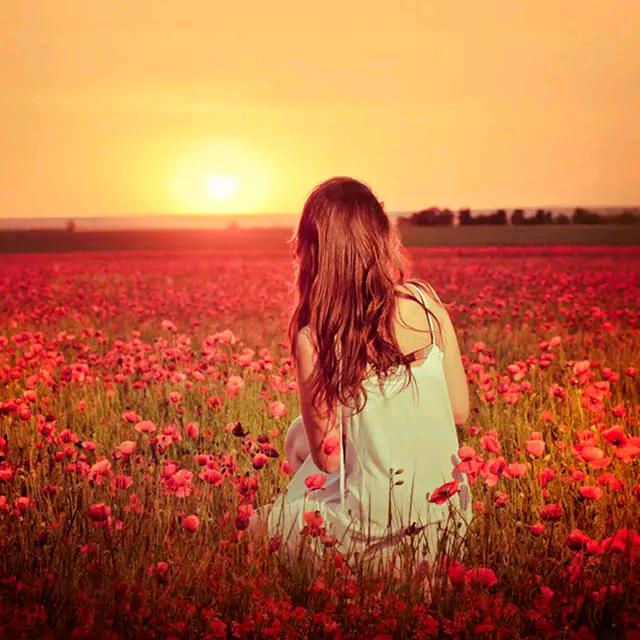 ℳঞ ꦿ紫藤花 ໌້ᮨ꧔ꦿ᭄💕