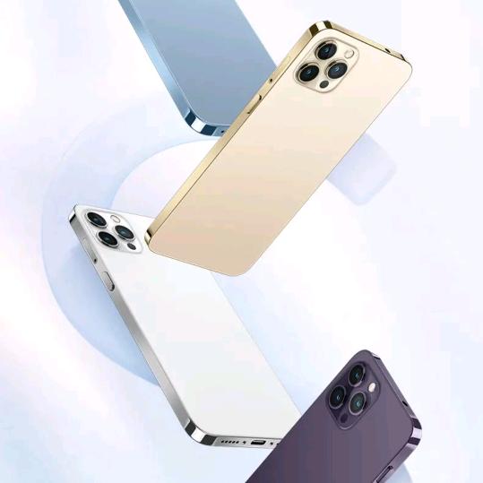 桦莎瑞商贸有限公司