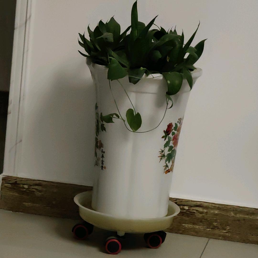 飞星传恨