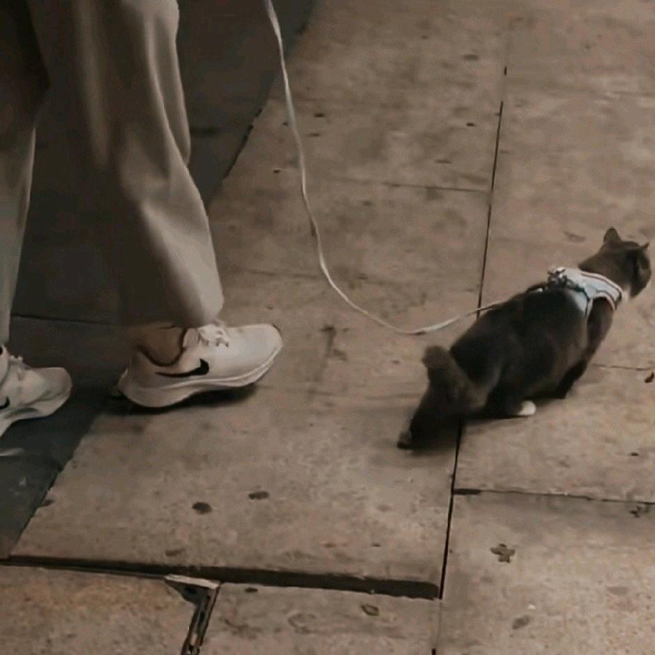 三三（航天速摸流）