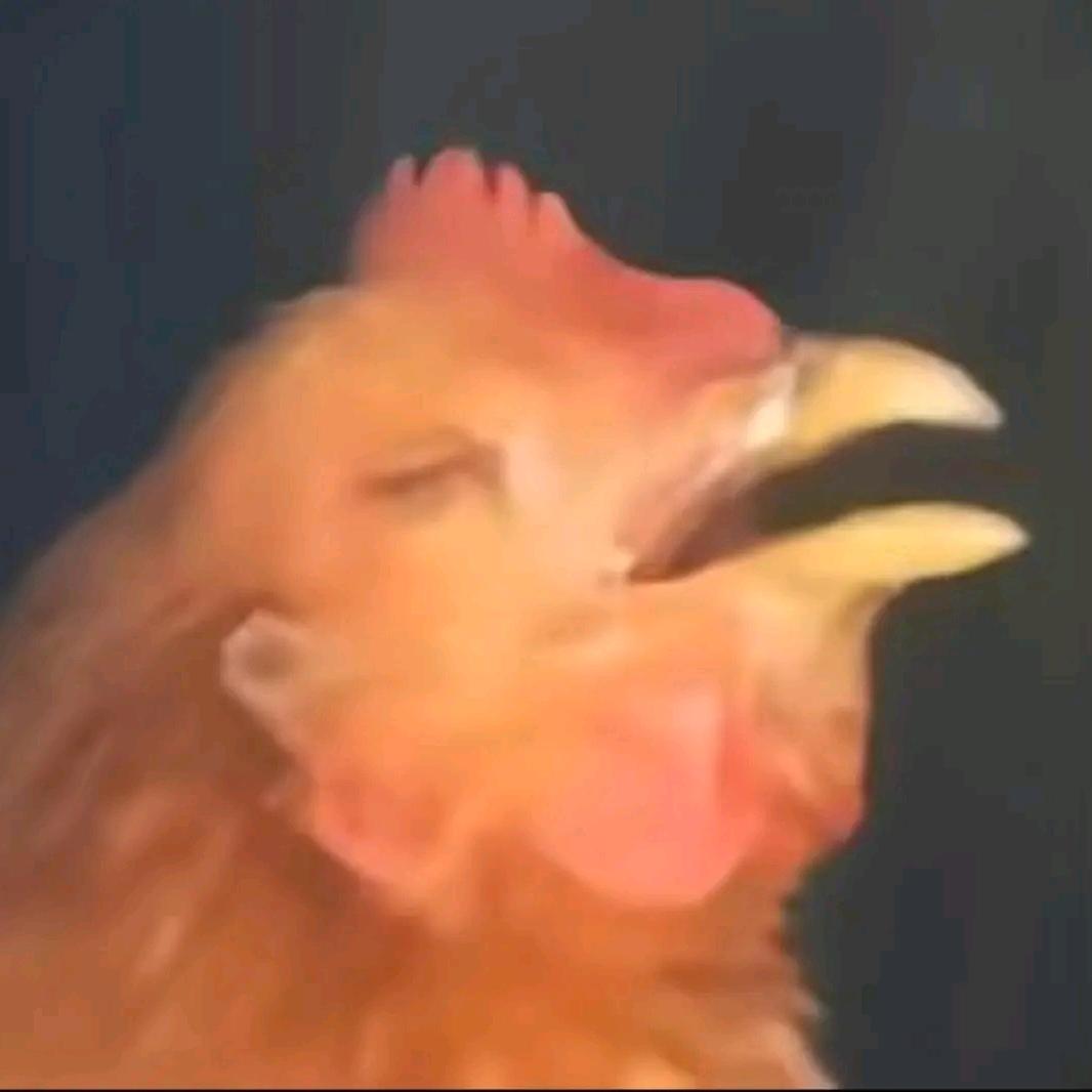蜜菠萝