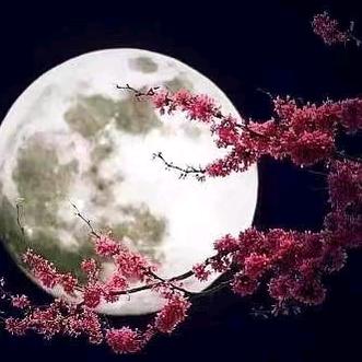 一世独华