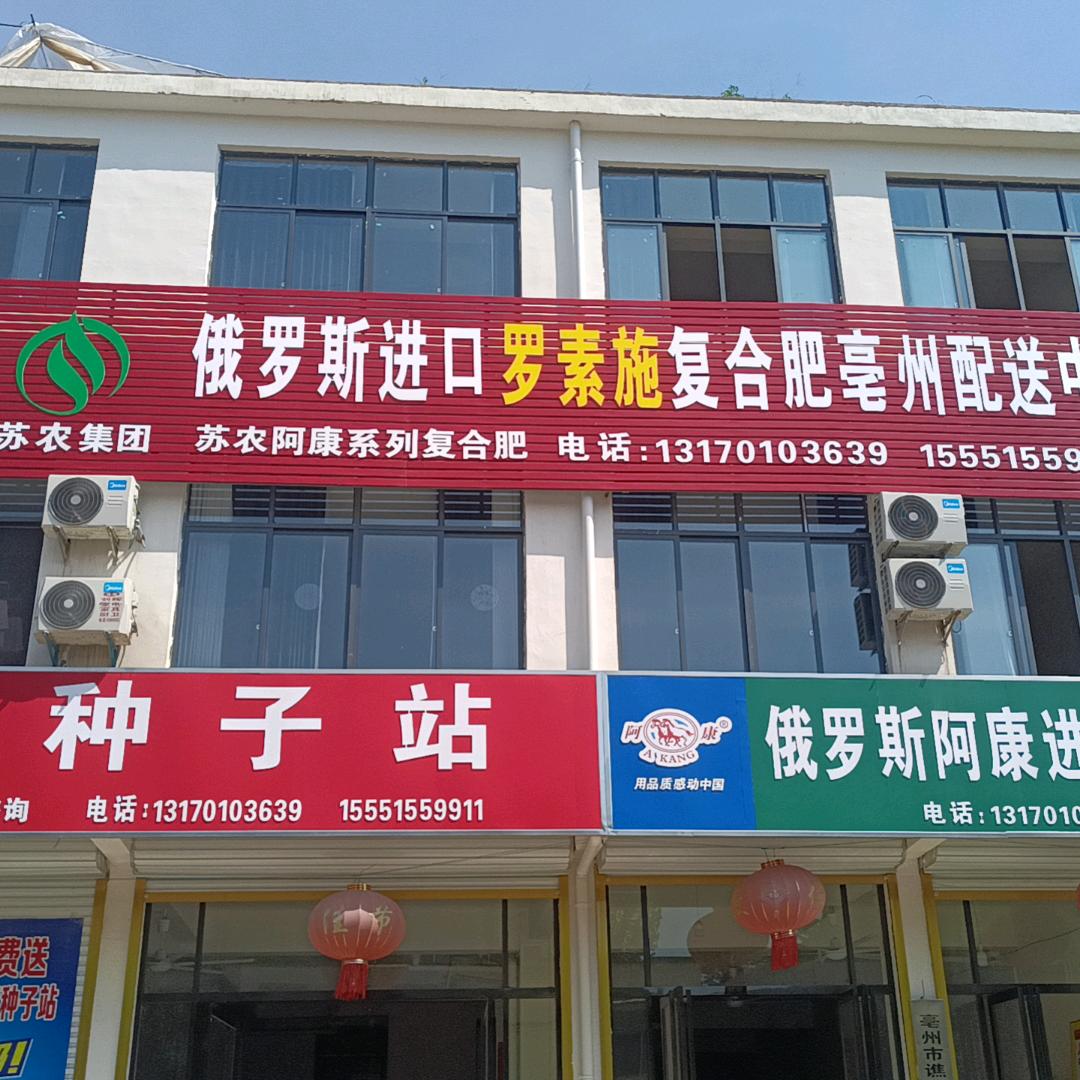 冰心