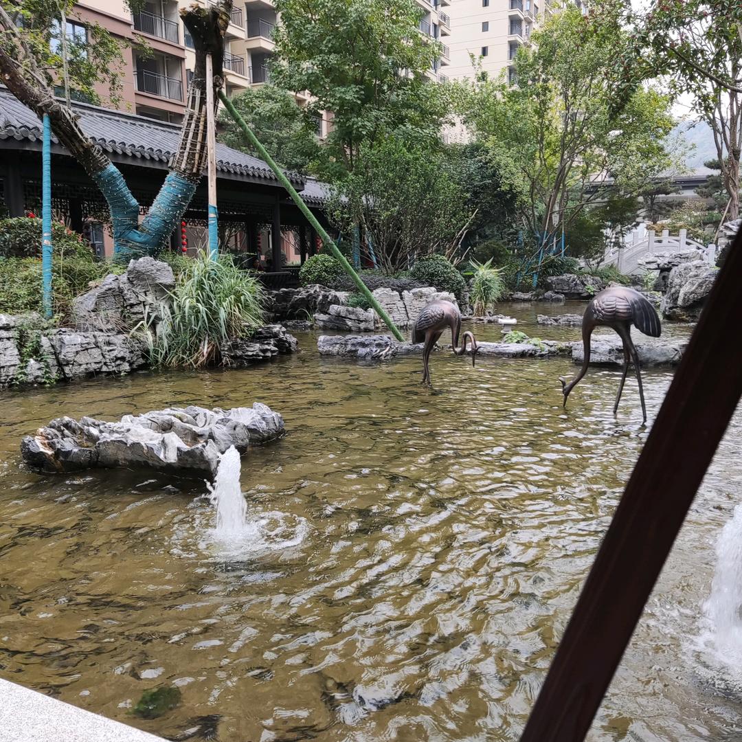 玫瑰3954266843041
