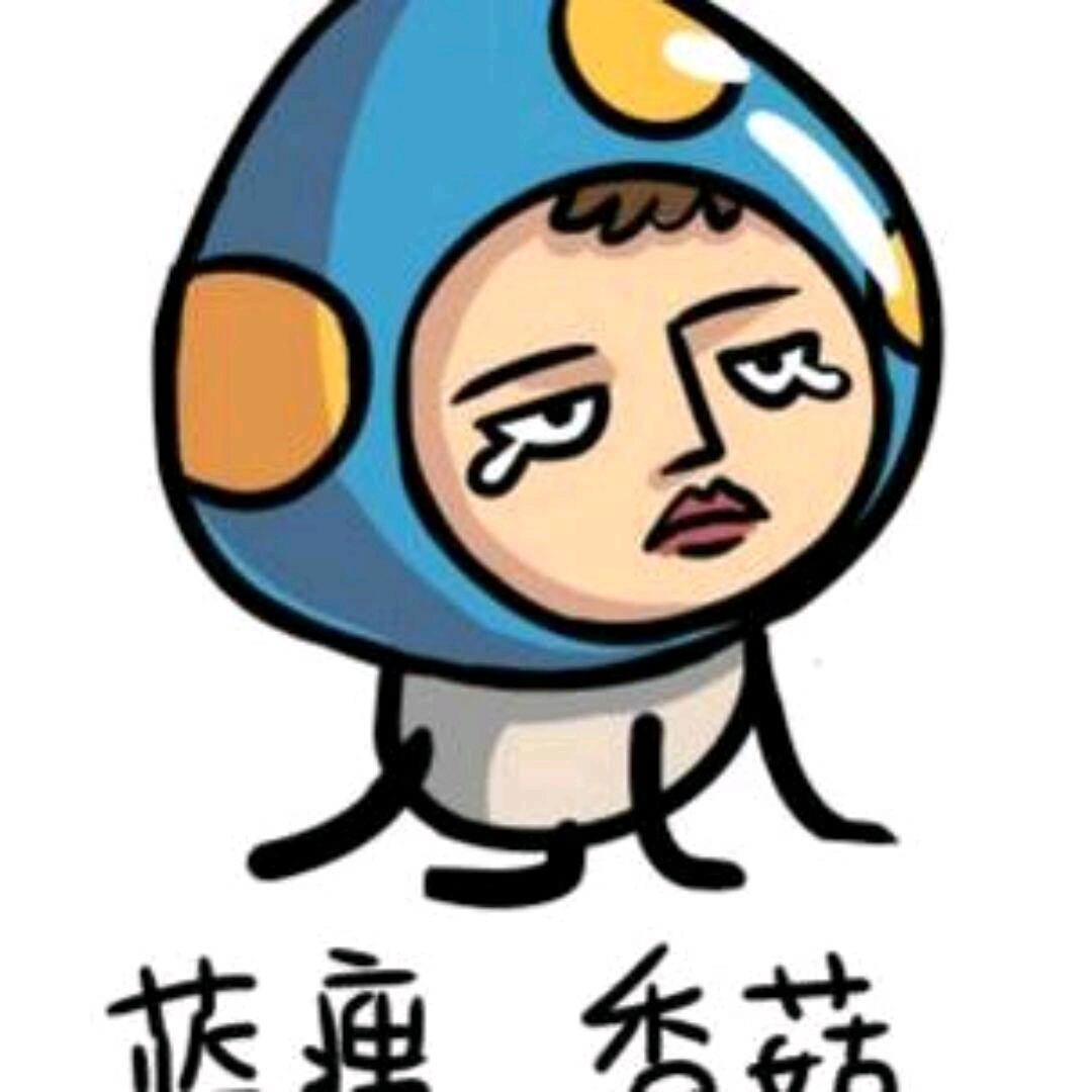 一切皆是命