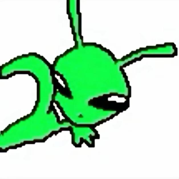 猫露露🌟
