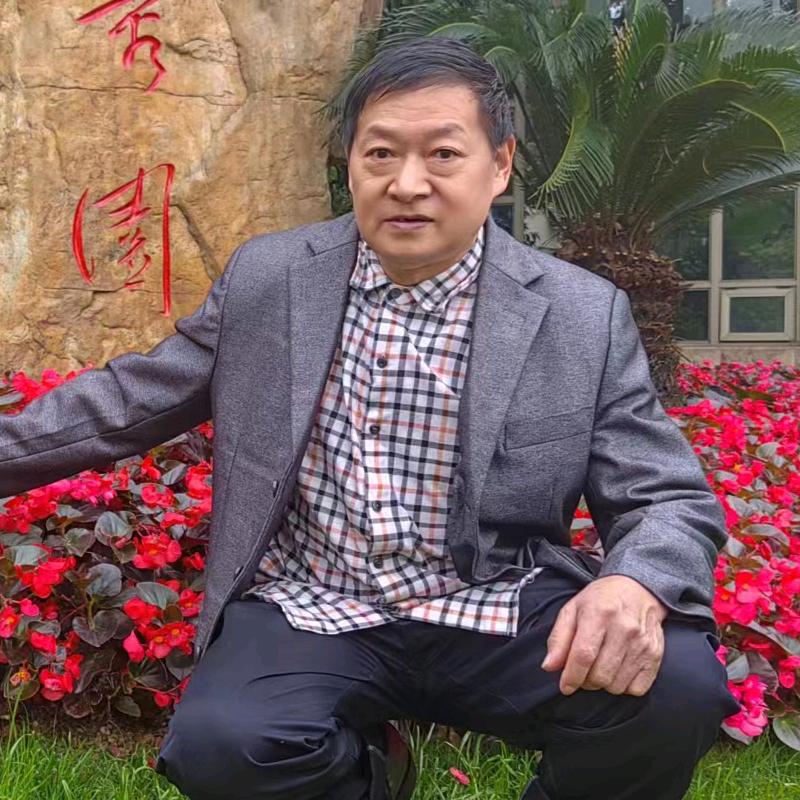 杨总