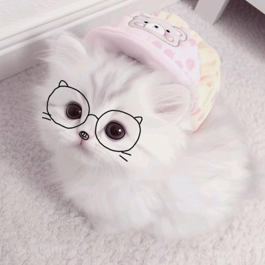 云吞面大王