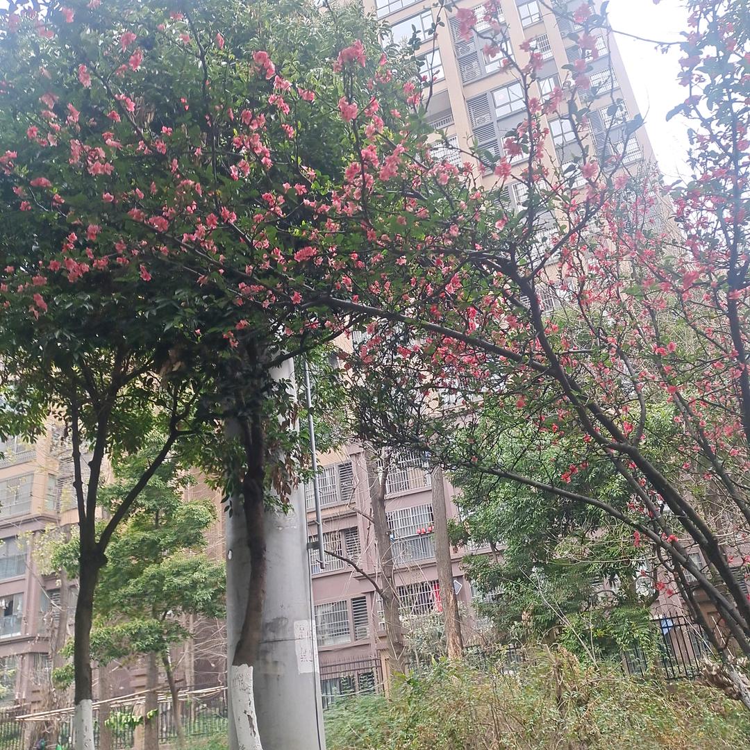 努力赚钱吧，别人看不起我