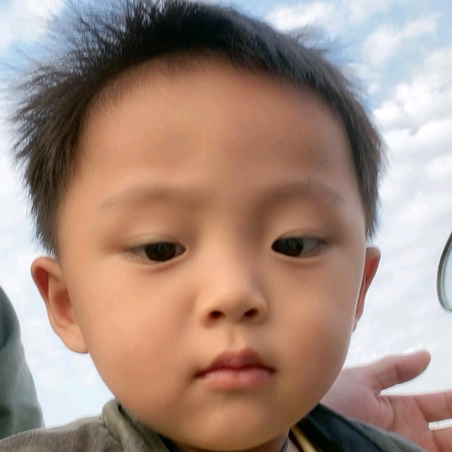 臭猪