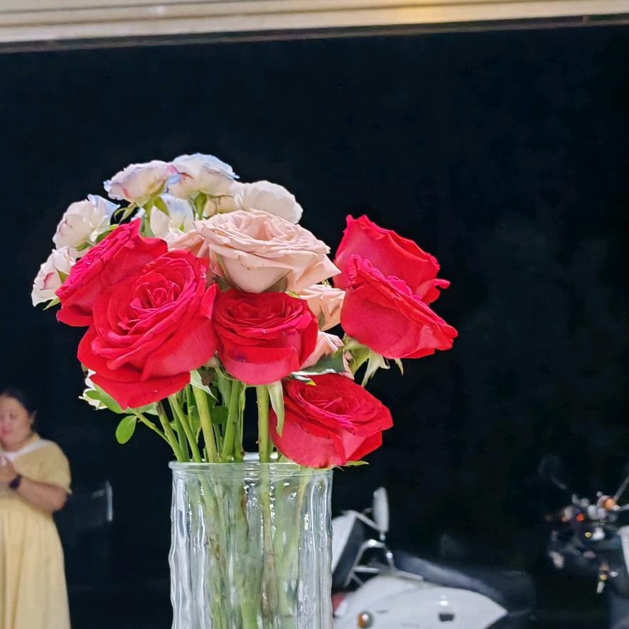 阳光总在风雨后🍀