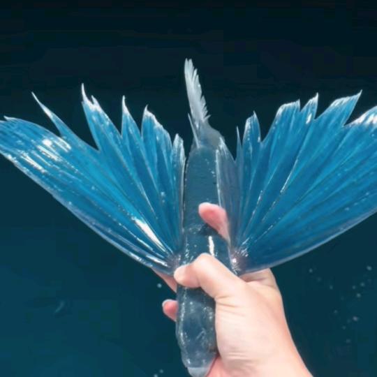 @云起