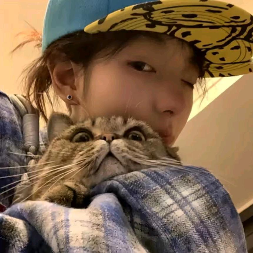 繁华落尽