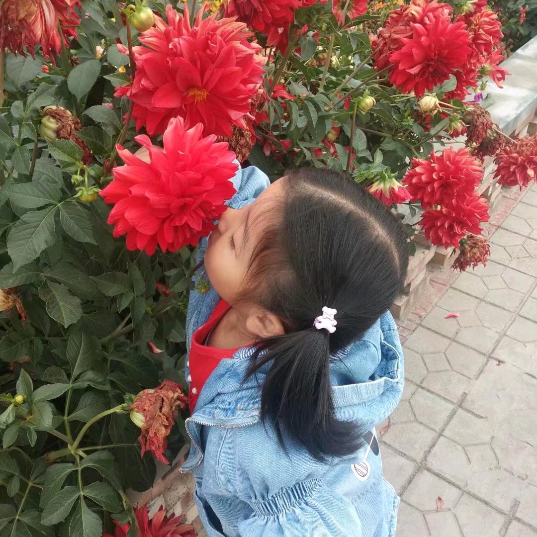 ༄先࿆ྂのོ࿆༘笙࿆ྂ࿐