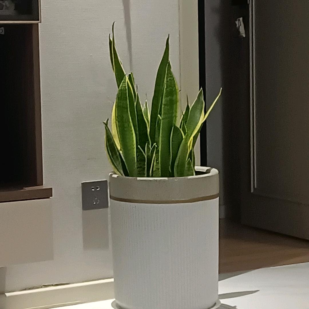 随便你