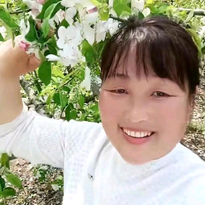 杨杨