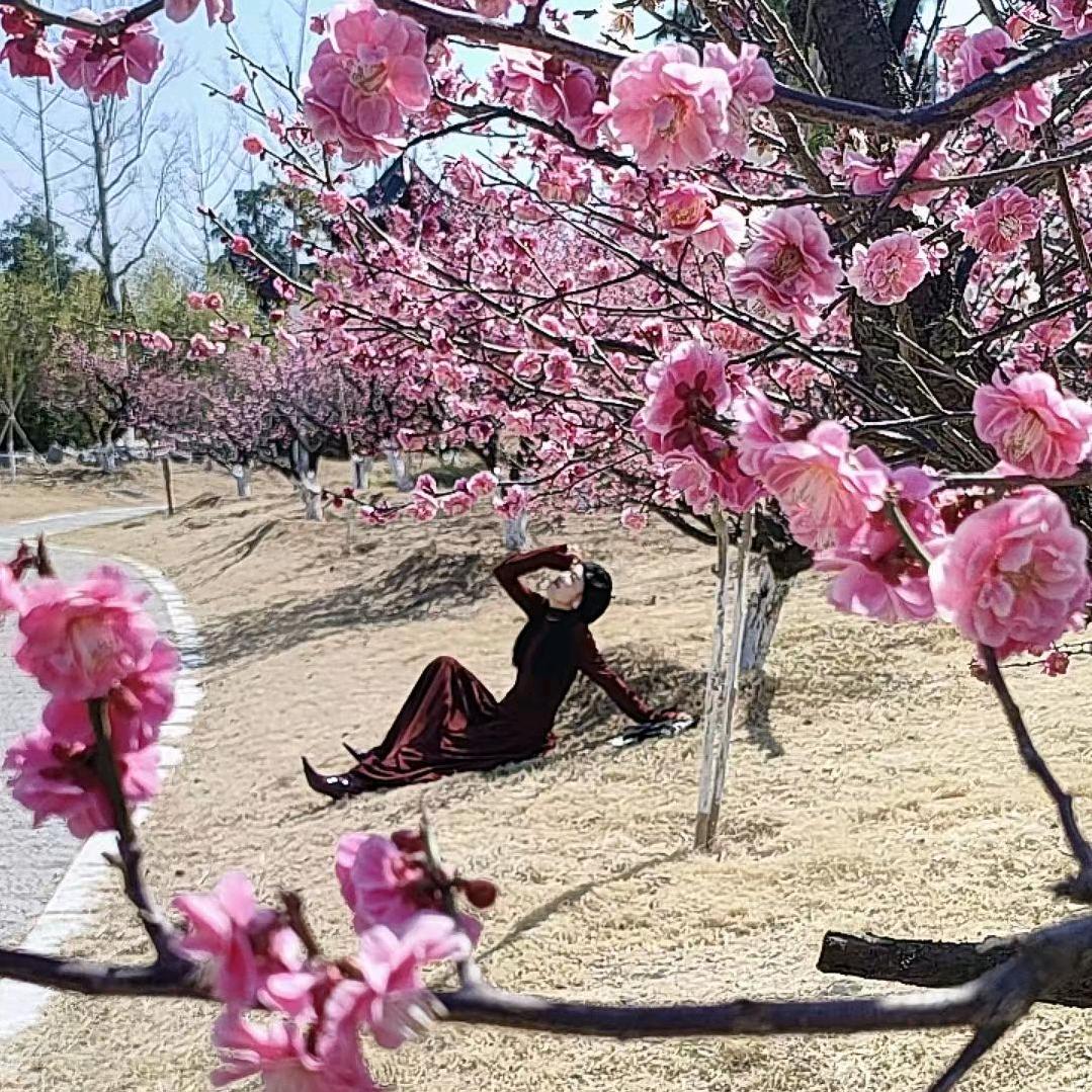 琳琳