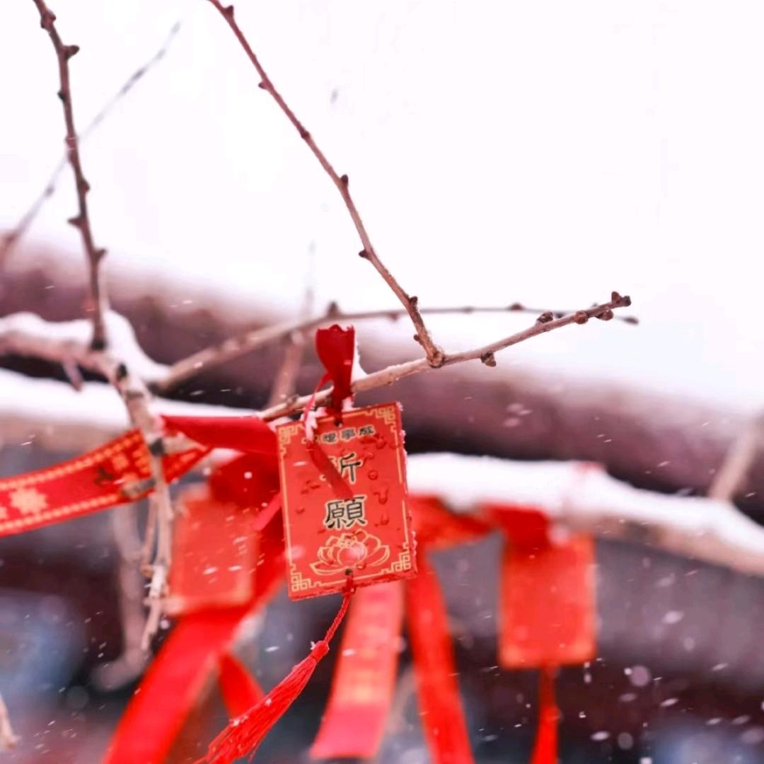 扶摇
