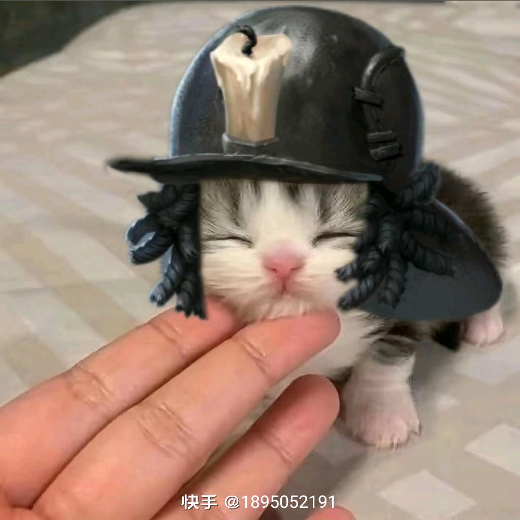 梦风歌