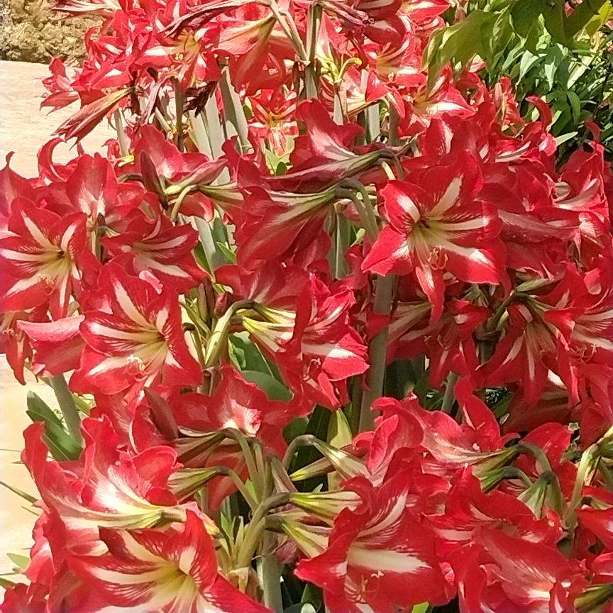 无言的结局