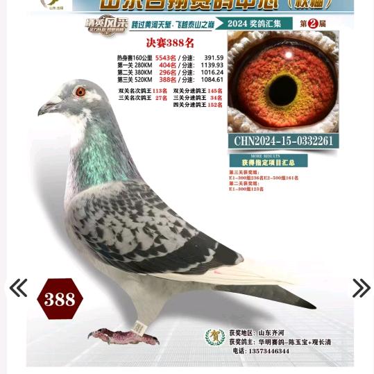 步步高